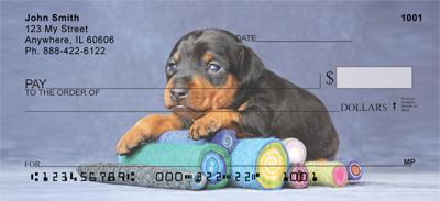 Min Pin Puppies
