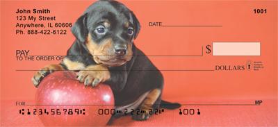 Min Pin Puppies
