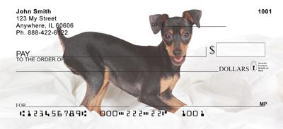 Miniature Pinschers