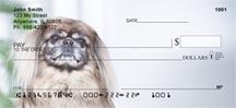 Cute Pekingese
