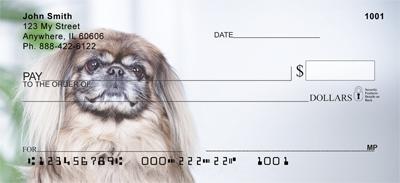 Cute Pekingese