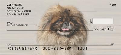 Cute Pekingese
