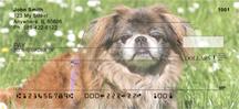 Lovely Pekingese