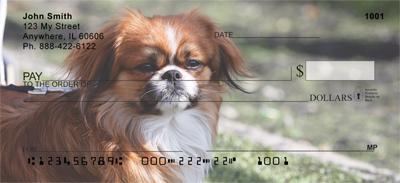Lovely Pekingese