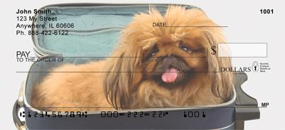 Lovely Pekingese