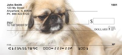Lovely Pekingese