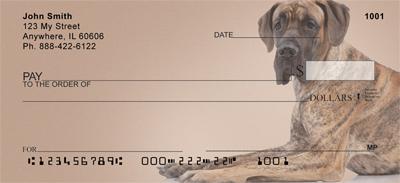 German Shorthaired Pointers