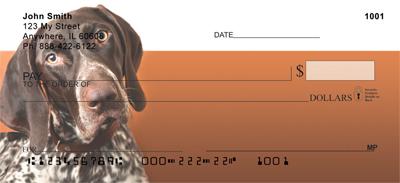 German Shorthaired Pointers
