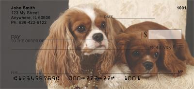 Pretty Cavalier King Charles Spaniels