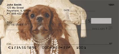 Pretty Cavalier King Charles Spaniels
