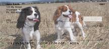 Cavalier Fun