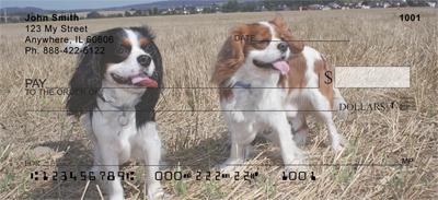 Cavalier Fun