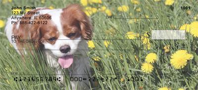 Cavalier Fun