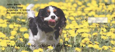 Cavalier Fun