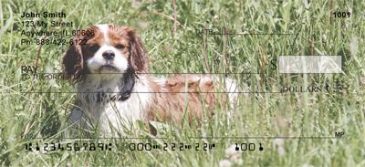 Cavalier Fun