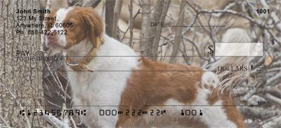 Fun Brittany Spaniels