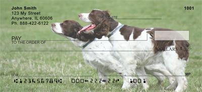 Fun Brittany Spaniels