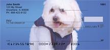 Pretty Havanese