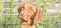 Vizslas Outdoors