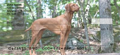 Vizslas On The Hunt