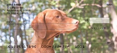Vizslas On The Hunt