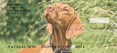 Vizslas On The Hunt