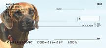 Rhodesian Ridgebacks