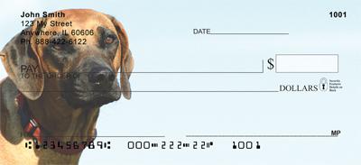 Rhodesian Ridgebacks