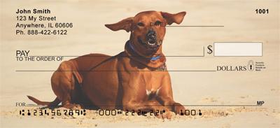 Rhodesian Ridgebacks