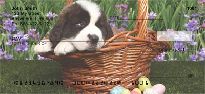 Saint Bernard Puppies