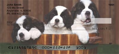 Saint Bernard Puppies