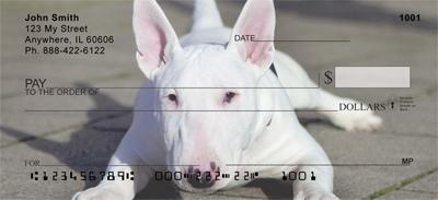 Bull Terriers