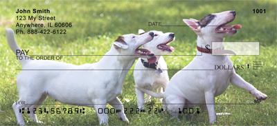 Bull Terriers