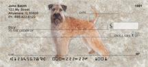Soft Coated Wheaten Terriers
