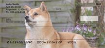 Shiba Inus