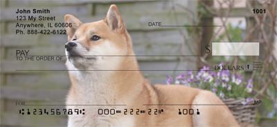 Shiba Inus