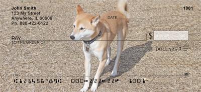 Shiba Inus