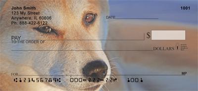 Shiba Inus