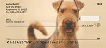 Fun Airedale Terriers