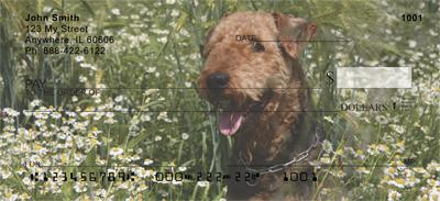 Fun Airedale Terriers
