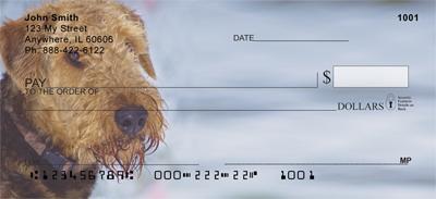 Fun Airedale Terriers