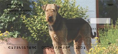 Fun Airedale Terriers