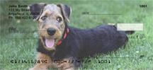 Airedale Pups