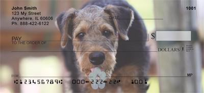Airedale Pups