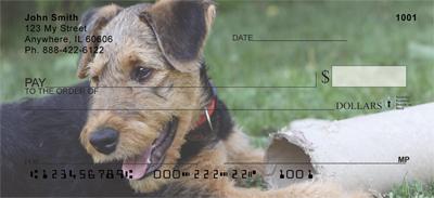Airedale Pups