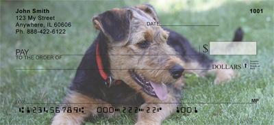 Airedale Pups