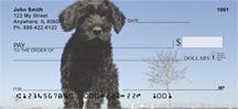 Portuguese Water Dogs
