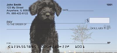 Portuguese Water Dogs