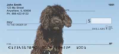 Portuguese Water Dogs