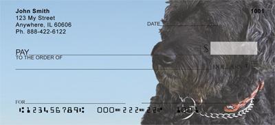 Portuguese Water Dogs